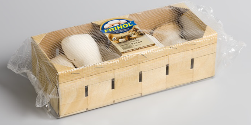 MUSHROOMS - Cardboard Tray with Flow Fresh - NNZ
